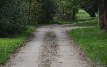 DSC_0519