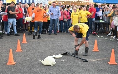 305391514_532199985377237_2300253803880473304_n