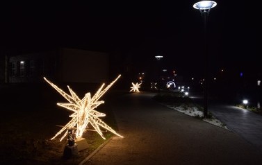 DSC_0151