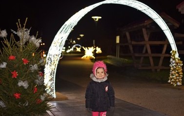 DSC_0220