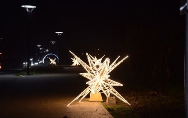 DSC_0146