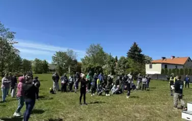 30