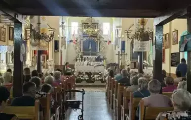29