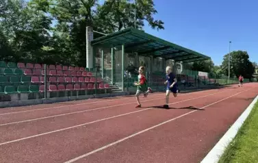 41