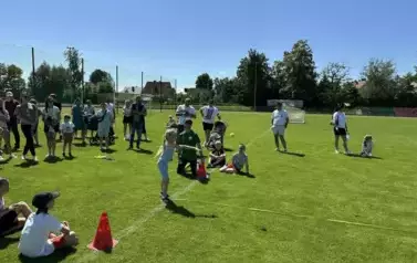 31