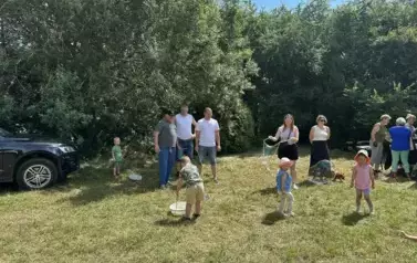 11