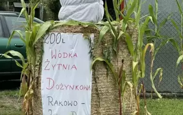 540527852_1084872880493249_3720257150285089793_n