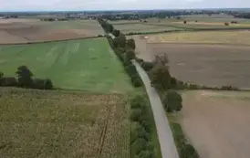 DJI_0829