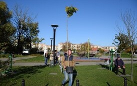 DSC_1637 (Duży)