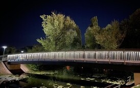 IMG_9596