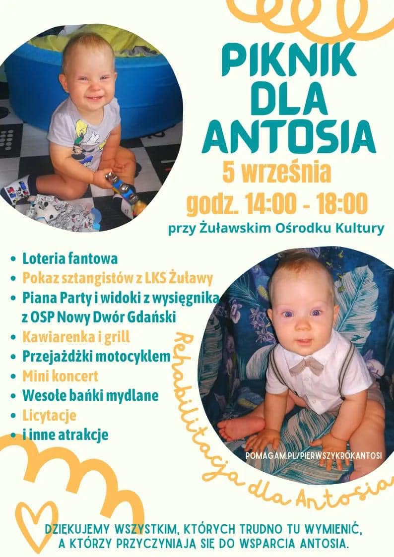 Piknik dla Antosia - plakat 