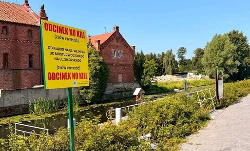 Zdjęcie do Strefa "NO KILL" wzdłuż bulwaru 