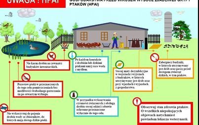 Zdjęcie do ZJADLIWA GRYPA PTAK&Oacute;W 