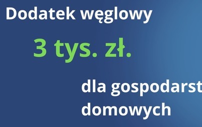 Zdjęcie do DODATEK NA WĘGIEL, PELET, OLEJ, DREWNO, GAZ SKROPLONY LPG